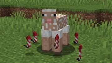 Minecraft, But Sheep Explode When Sheared