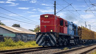 El último tren maderero a Horcones - Locomotora Alco 1803