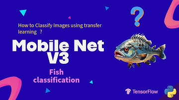 How To Actually Use MobileNetV3 for Fish Classifier