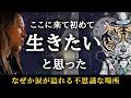 「生きたい。」なぜか涙が溢れる不思議な場所。究極の幸せを感じるために必要な、たった一つのこと。