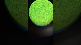 #microsoft #science #vickykaushal #youtubeshorts #physics yah micro vickers ka zooming test haiindia