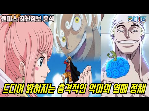 [원피스 최신정보 분석]드디어 밝혀지는 충격적인 떡밥 악마의 열매 고대병기 신의세계!?