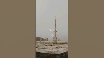 #ماهرالمعيقلي | يا أيها الذين آمنوا توبوا إلى الله توبة نصوحا | #تلاوة_خاشعة سورة التحريم الآية ٨