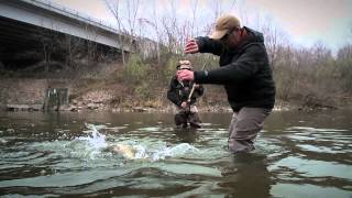Steelhead Fishing---Skagit Master 4 Featuring Tom Larimer---Introducing Dave Pinczkowski