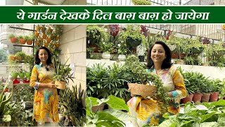 इनके गार्डन और बालकनी में है 2000 से ज्यादा पौधे | बोन्साई का है शौक़ | Terrace & Balcony Gardening