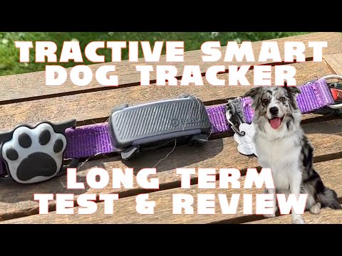 首輪・ハーネス・リード Tractive GPS Tracker for Dogs Amazon.com