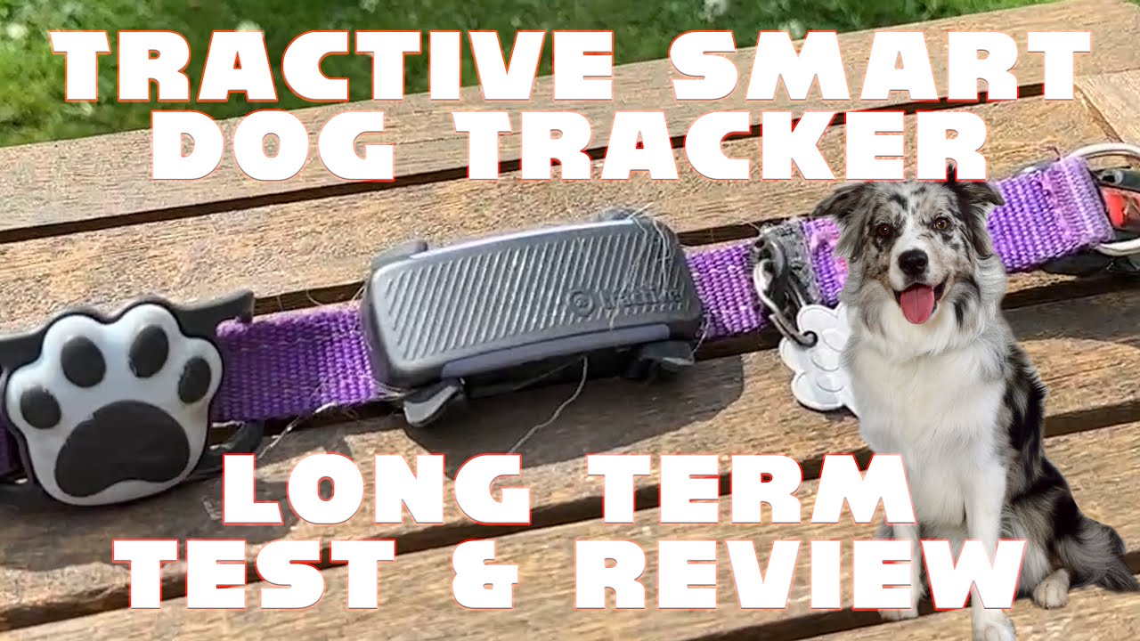 Tractive 2025 Smart Dog Tracker Amazon Test & Review - YouTube