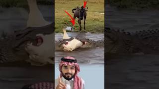 لحظةت ذك رأن القوةليست بيدأحد وأن من ظن  نفسه غالب اقدي غلب بأمرمن الله                              سمعها