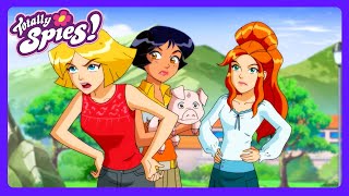 Epic Celebrity Swipe! 🌟 - Totally Spies | Kids Cartoons | WildBrain Sunshine City
