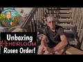 📦Let's Open It Up! 🗃 Heirloomroses.com Order Unboxing!