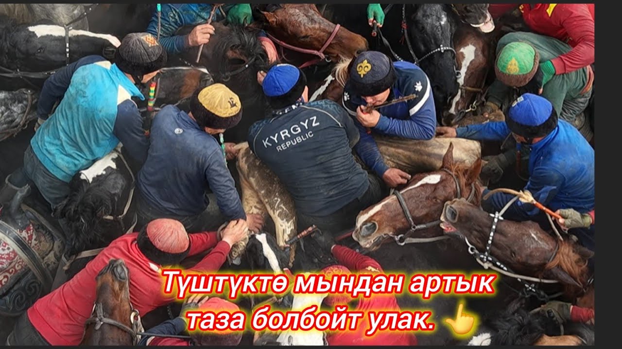 Улак тартыш катуу болду 😱😱😱 Бирин бири таламай 💥Аламан улак Кара Суу 2- бөлүм