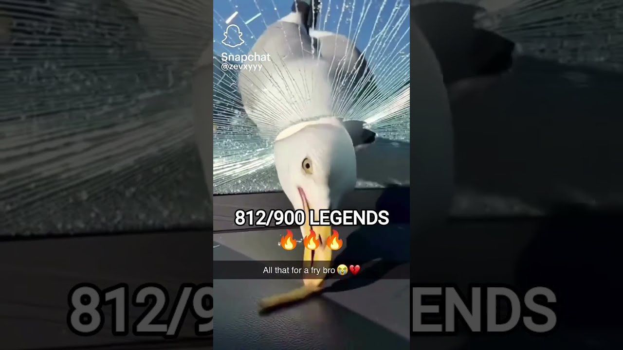 WHATT Shorts Memes Funny Subscribe 