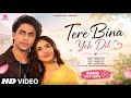 New Song 2026 New Hindi Song Tere Bina Yeh Dil Aryan Khan Mrunal Thakur New Song 