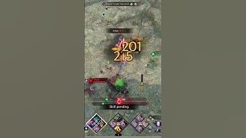 PVP Throne and Liberty Spear/SNS Dominion