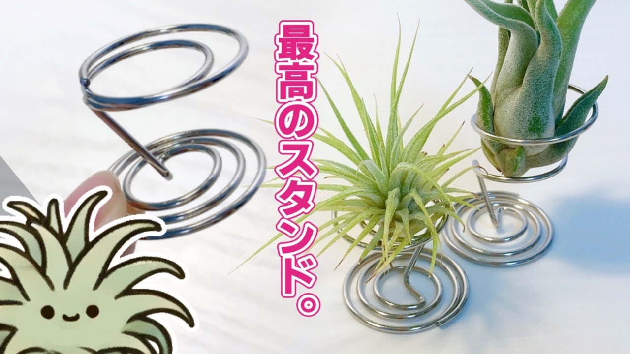 簡単！エアプランツスタンドの作り方とおしゃれな飾り方
