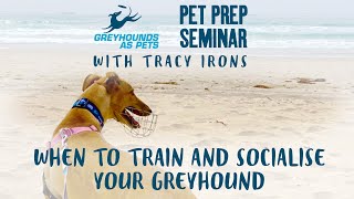 Pet Prep with Tracy Irons - When to Train and Socialise Your Greyhound by Greyhounds As Pets 1,564 views 2 years ago 21 minutes