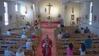 Daily Mass 8.00 a.m. 7-03-2026 (+)Jack O'Connor (18th Anniversary of Death) by O'Connor & Families