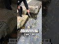 Fishing money out of dirty water 🎣💵😲                               🎥: TikTok / laurasnook5