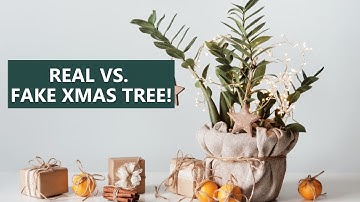 Real vs. Fake Christmas Trees