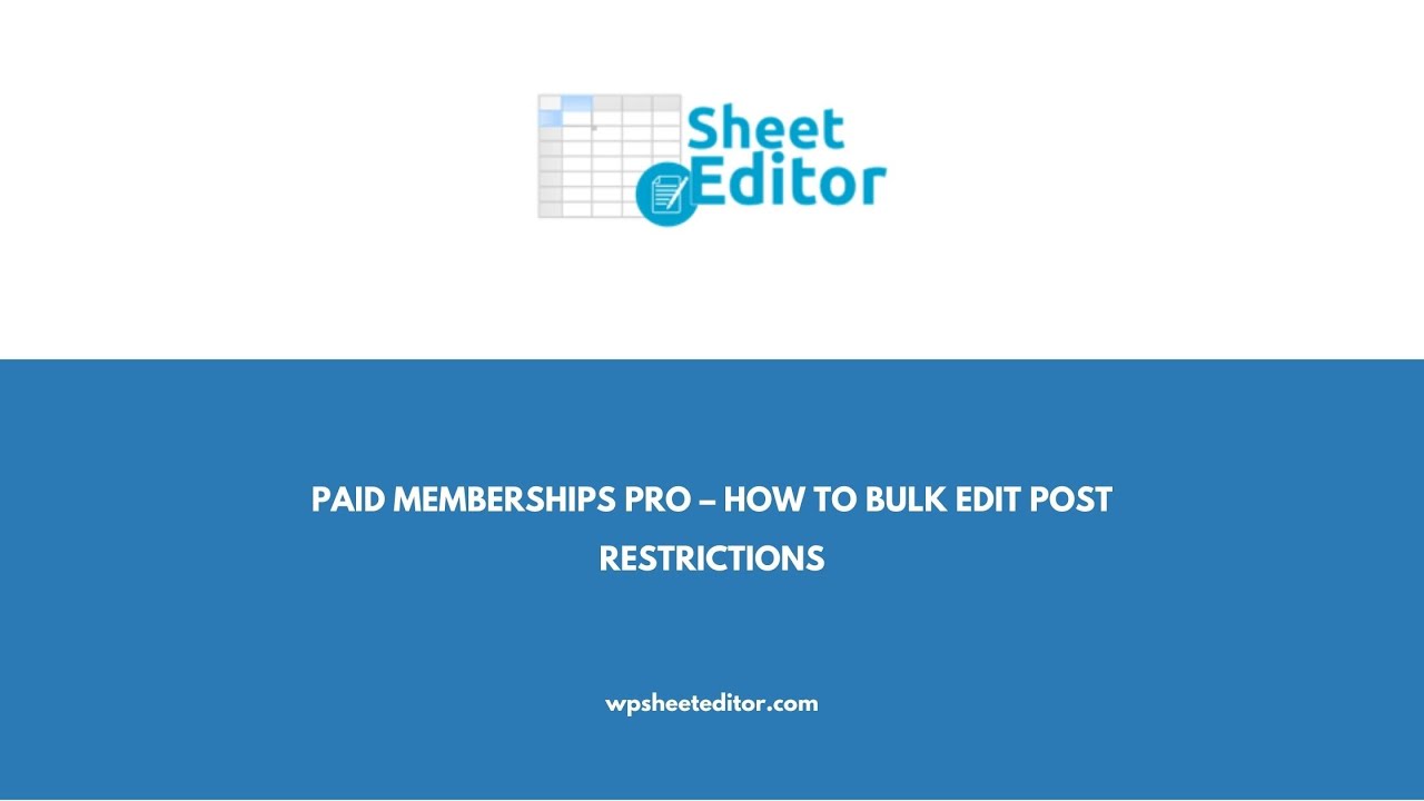 video WP Sheet Editor