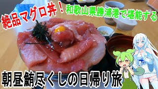 破壊力抜群のマグロ丼を頂きに和歌山県勝浦港まで行った日帰り旅行