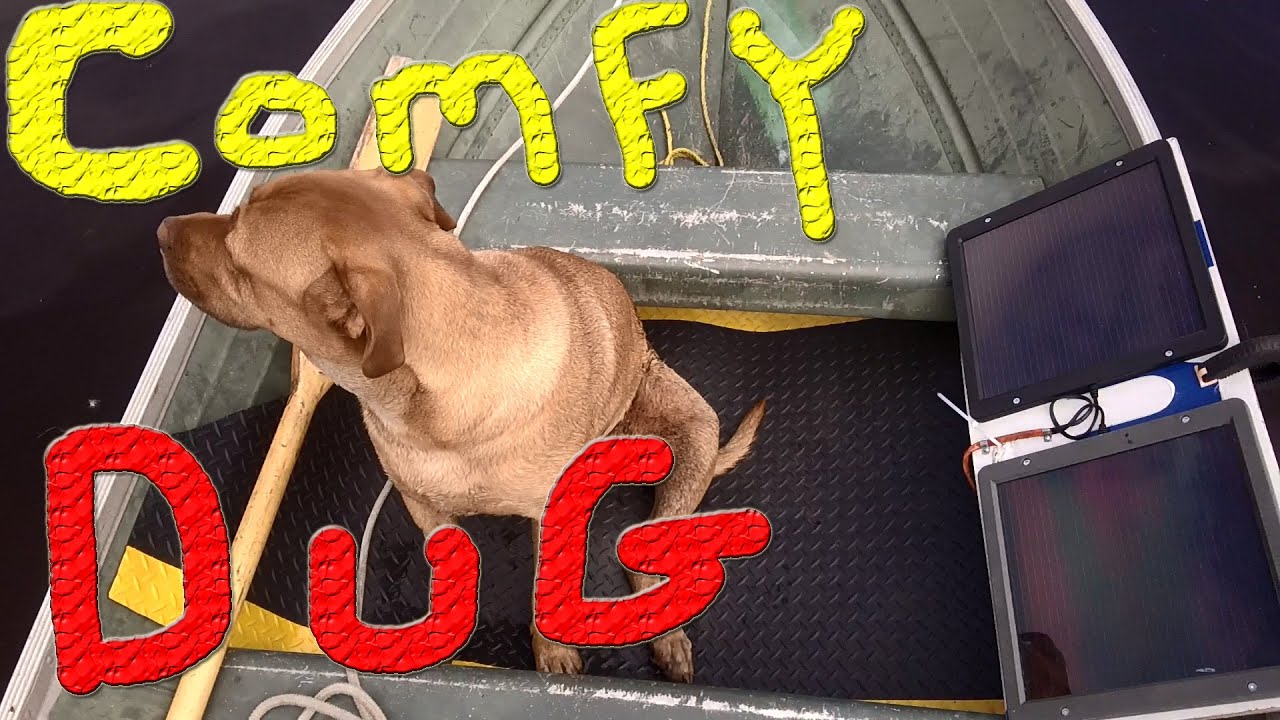 Ducks Going To The Lake Part 2 #37 Raising Ducks For Charity 