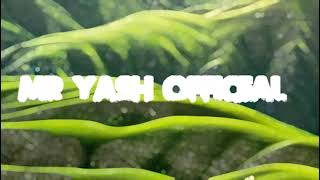 3D Name Video Animation For 2Mints