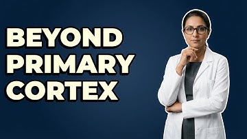 How Does The Brain Process Visual Information Beyond V1?