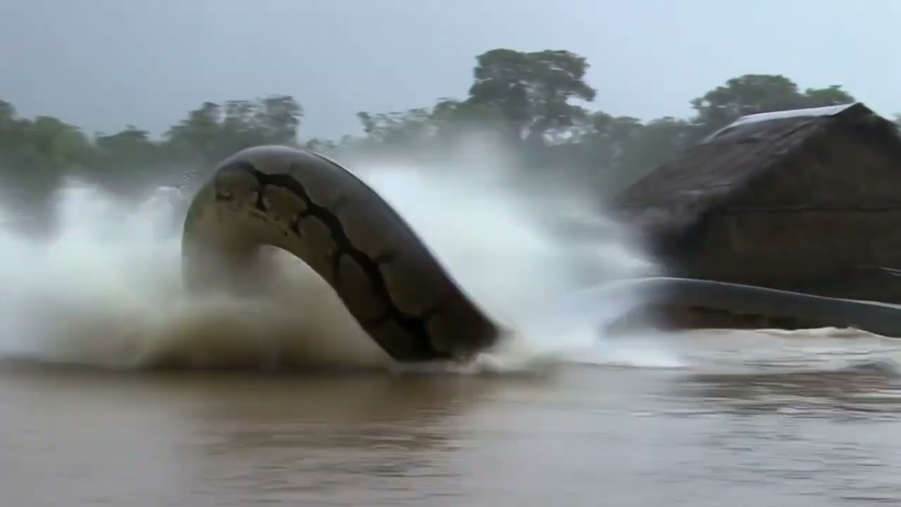 It's so shocking! The mysterious Amazon rainforest, a forbidden zone for humans.  