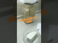Şırdan Mayalı Keçi Peyniri çok yakında kanalımda 🧀🧀