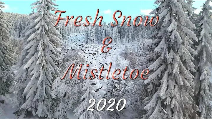 Fresh Snow & Mistletoe 2020 ft. Barbara Kendrick