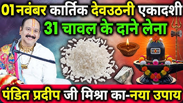 1 नवंबर कार्तिक शनिवार देवउठनी एकादशी के दिन 31 चावल के दाने वाला उपाय जरुर करे || Pradeep Ji Mishra