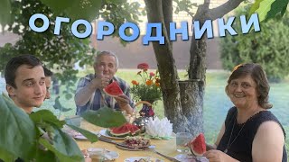 Деревня летом. Отдыхаем и работаем. Самый вкусный «Вишневый пирог»