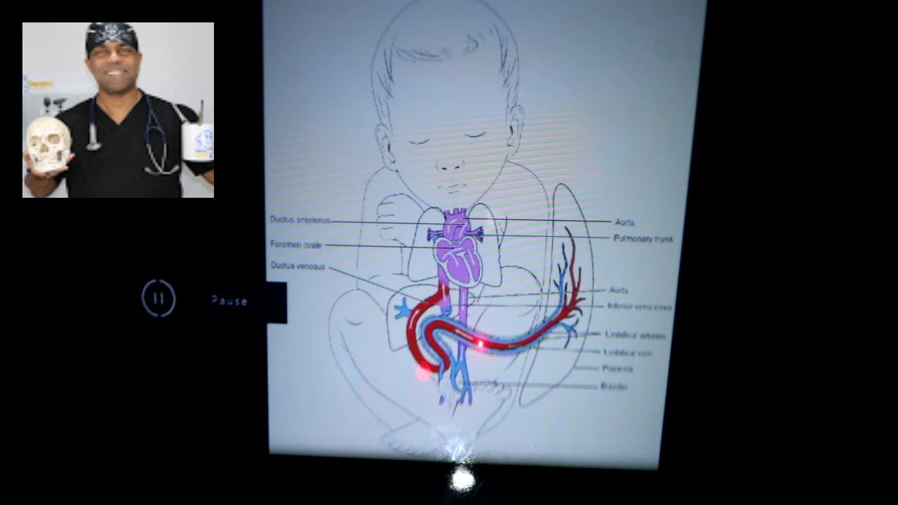 What's Inside Your Belly Button! Ewww or Wow?