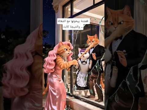 القط مياو لقي أبوه بيخون أمه مع الشغالة والنتيجة كانت مؤثر جدا    القط مياو قطط
