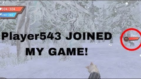 Player543 JOINED MY MULTIPLAYER GAME! (WildCraft Hacker!) |Summon|