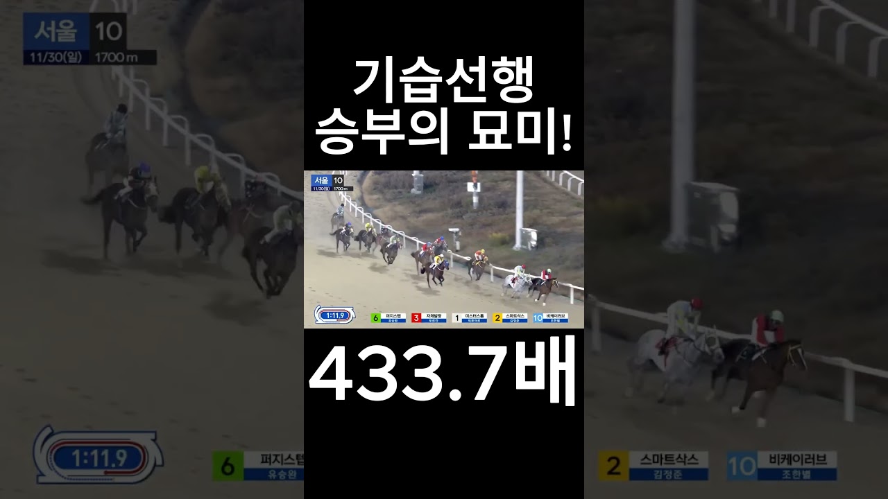 기습선행 승부의 묘미!!   #경마  #경마예상  #경마방송  #경마예상방송  #서울경마  #금요경마  #토요경마  #일요경마 #경마장