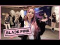 We met BLACKPINK in South Korea!