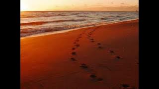 Alexi Murdoch- Orange Sky (Four Songs EP version)