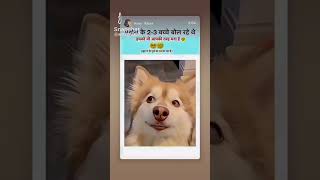 shorts youtubeshorts short funny shortsfeed short