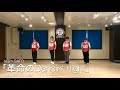 team SATO「革命のDancin' night」踊ってみた