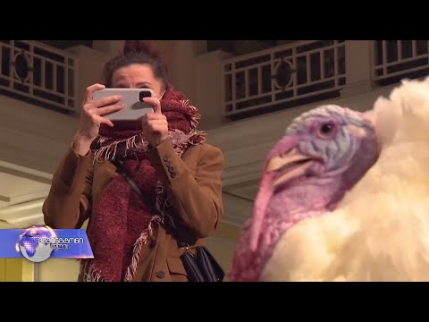 მადლიერების დღე პანდემიისას