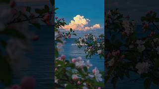 Ab Toh Yeh Haal He | Mayi Ri OST Lyrics | Aesthetic Video | #reels #explore #instagram #fyp #viral