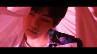 Taehyungs Voice Korean And Japanese Versions Blood Sweat & Tears