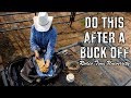 Bucked off - Rodeo Time University