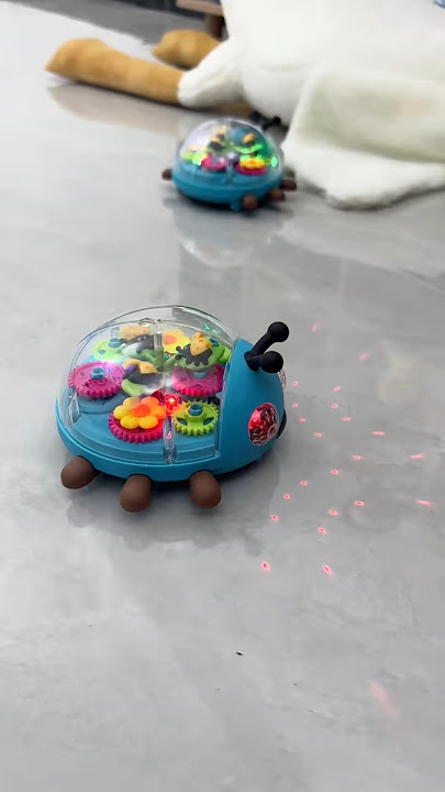 Ladybug Transparent Gear with Light and Sound