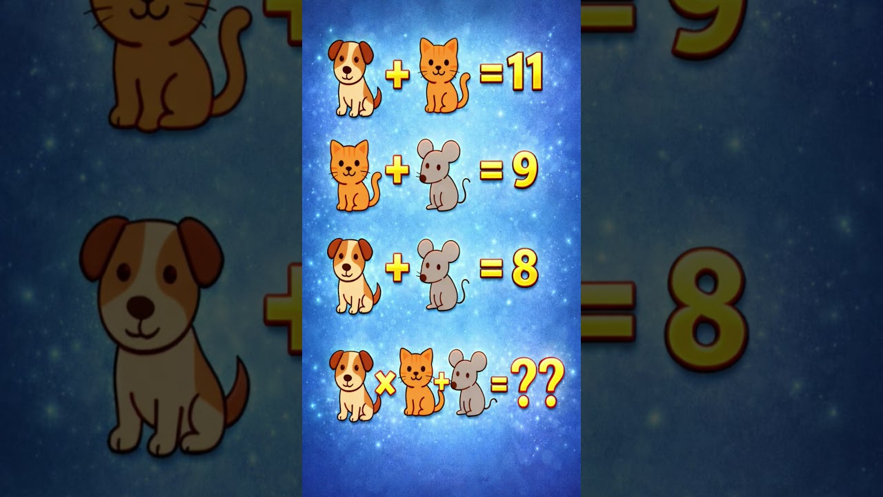 😺 🐰 🐕 cat rabbit dog