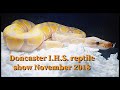 IHS Doncaster reptile show November 2018