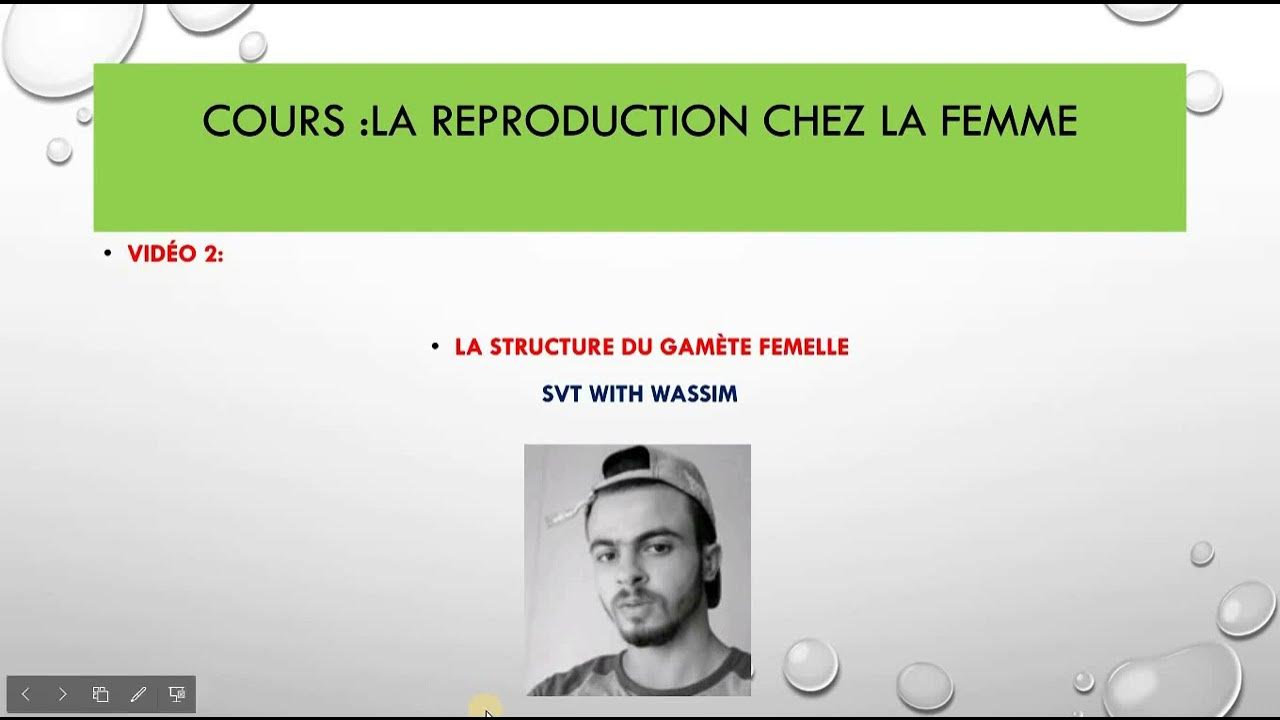 vidéo 2la structure du gamète femelle