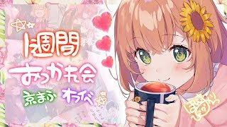 【おつかれ会】久しぶりに自宅から配信する本間ひまわり【本間ひまわり/にじさんじ】